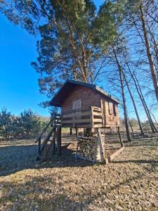 a tiny house on a stand in a field at Pod Dębem in Winnica