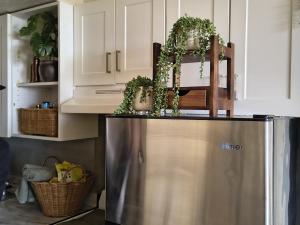 a kitchen with a refrigerator with plants on top of it at Condo-Hotel on Collins ave in Sunny Isles Beach