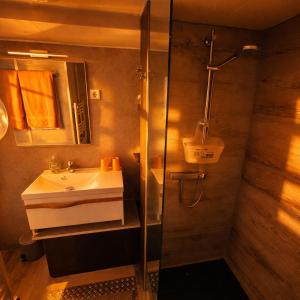 a bathroom with a sink and a shower at ÖKO Budget Hausboot Retreat Mondschein in Stralsund +24 photos