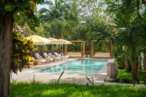 a swimming pool with lounge chairs and umbrellas at Mikasa Bacalar Hotel Boutique, Lagoon Front in Bacalar