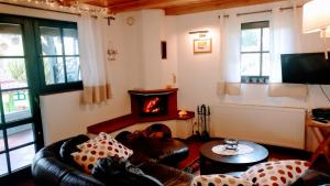 a living room with a couch and a fireplace at Dabki Village - Villa Rena in Dąbki
