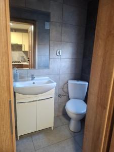 a bathroom with a white toilet and a sink at Domek na Podgrabiu in Łącko +12 photos