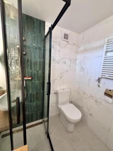 a bathroom with a toilet and a shower at Beach Hangout Hygge in Den Burg +30 photos