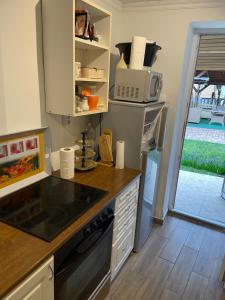 a kitchen with a sink and a microwave at Dombi Porta in Erdőbénye