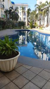 a swimming pool with a plant in a pot next to a building at Pool View Apartment - Sunshine By Leela Homes in Arpora