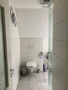 a small bathroom with a toilet and a glass door at FeWo Heaven in Winterberg