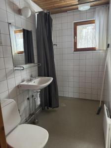 a bathroom with a toilet and a sink at Skutstuga 6 - Gruvbacken Huså in Järpen
