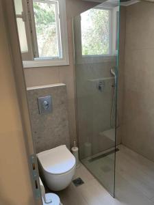 a bathroom with a toilet and a glass shower at Ktima Anna in Astris +7 photos
