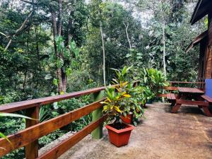 a porch of a house with a picnic table and plants at Beyond Paradise Vacation Rental in Cristo Rey