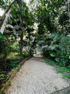 a gravel path in a park with trees and plants at Beyond Paradise Vacation Rental in Cristo Rey