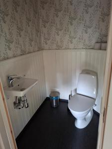 ein kleines Badezimmer mit Toilette und Waschbecken in der Unterkunft Borgvattnets B&B en Budget Hotel in Borgvattnet + 15 Fotos