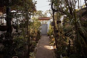 a garden path through a garden with plants at Casa com Varanda, Quintal e Churrasqueira em Bonito PE in Bonito