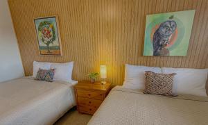 Gallery image of Mokee Motel in Bluff