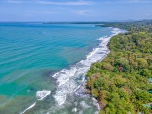 an aerial view of a beach with trees and the ocean at Apartment by the Caribbean sea in Cahuita