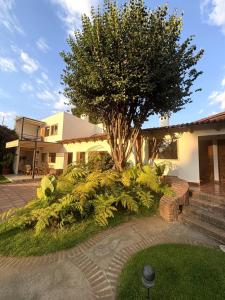 a house with a tree in the front yard at Hotel las Caballerizas in Valle de Bravo