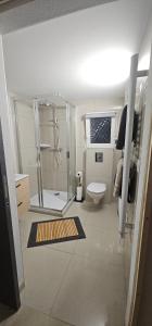 a bathroom with a shower and a toilet at La Source in Villers-le-Lac +20 photos