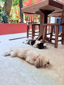 two dogs laying on the ground under a picnic table at Imperialis Boutique Hotel in Canavieiras +125 photos