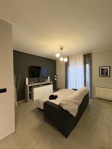 a bedroom with a large bed and a flat screen tv at Ladybug in Canale