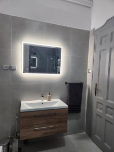 a bathroom with a white sink and a mirror at Central old town escape in Timişoara