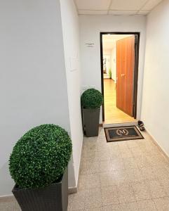 a hallway with two large plants and a door at MBS Marconi Bridge Suites Guest House in Rome