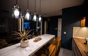 a kitchen with a table and chairs and lights at Impresia apartments in Kragujevac