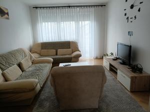a living room with a couch and a tv at Stan na dan MIKI M -TESLIC in Teslić