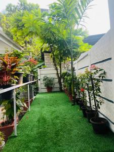 a small garden with plants and potted plants at Nandbhavan Guruvayur in Guruvāyūr