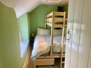 a bedroom with a bunk bed in a green room at Snowdrop Cottage in Jacobstowe