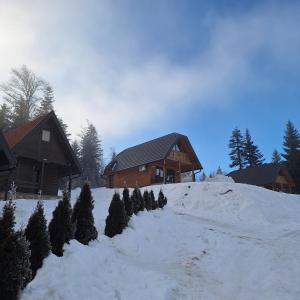 a snow covered yard with a house and christmas trees at Brvnara Gorska Dama in Sekulić 