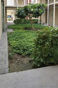 a green yard with a tree in a building at Smart Private Studio Al Reem Island in Abu Dhabi
