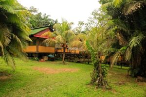 a resort with palm trees in front of a building at Johmer EXPEDITION Lodge in Islas Tinicuro