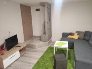 a living room with a couch and a tv at Srna apartmani in Čačak
