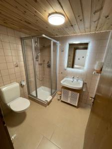 a bathroom with a shower and a toilet and a sink at Gästehaus Hauser in Bach