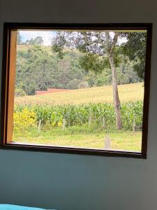 a window in a room with a view of a vineyard at Chalés recanto dos oliveira in Camanducaia