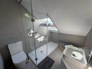 a bathroom with a shower and a toilet and a sink at Loft Azeméis in Oliveira de Azemeis