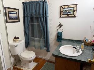 a bathroom with a toilet and a sink at Adirondack Butterfly Hillside in North Creek +6 photos
