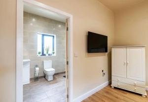 a bathroom with a toilet and a television on the wall at Beech Tree Park Cottages in Hatfield +59 photos