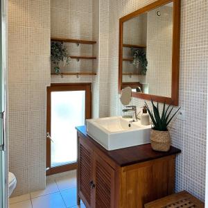 a bathroom with a sink and a mirror at Echappée Bleue in Auvers-sur-Oise