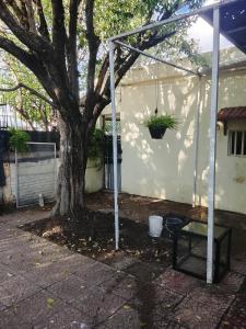 a tree in front of a white house with a swing at Fabylu in Ezpeleta
