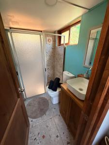 a bathroom with a shower and a toilet and a sink at Tiny House Al lado del río in Linares