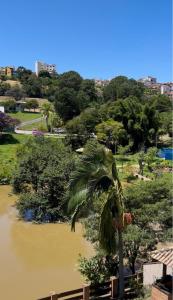 a palm tree in front of a river at Pousada Acordes do Lago in Cunha