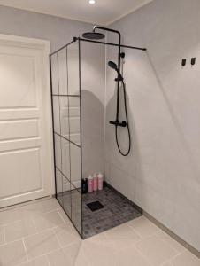 a shower with a glass door in a bathroom at Leilighet in Bjørkheim +15 photos