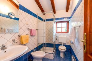 a blue and white bathroom with a toilet and a sink at Old Stonehouse Stari San in Pinezici +26 photos