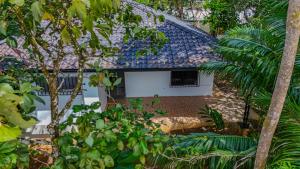 an aerial view of a house surrounded by trees at Casa escondida in Uvita