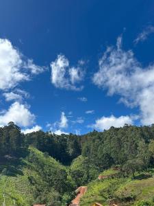 a hillside with trees and a blue sky with clouds at Chalé 2 com hidromassagem in Camanducaia