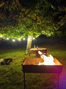 a fire pit in front of a tree at night at Cabaña7 in Neltume