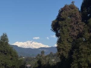 a view of a snow covered mountain through the trees at Jojos homestay in Mirik