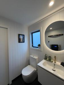 a bathroom with a toilet and a sink and a mirror at The Olde Whiskey Room in Queenstown