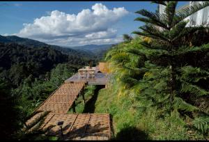 a house on a hill with a palm tree at Japanese house PhuSaimorkVilla in Ban Kai Noi