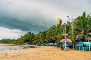 a beach with palm trees and umbrellas and the ocean at Hotel ANY in Los Córdobas
